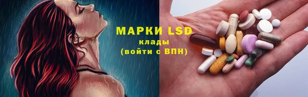 прущие грибы Наволоки