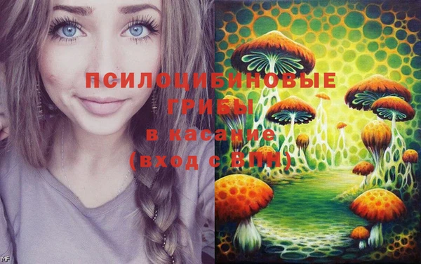 дурь Нефтекумск