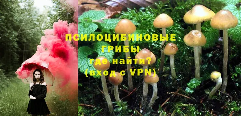 Псилоцибиновые грибы MAGIC MUSHROOMS  Ленск 